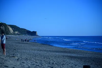 DSC_1176 (Large).JPG